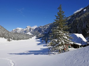 Friends of nature accomm. Tannhütte House view winter