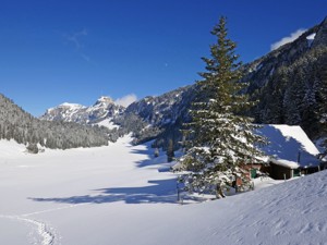 Friends of nature accommodation Tannhütte House view winter