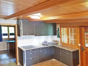 Group accommodation Alpenlodge Kitchen