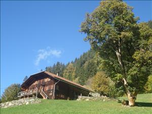 Gruppenhaus Tubegrabe-Stafel