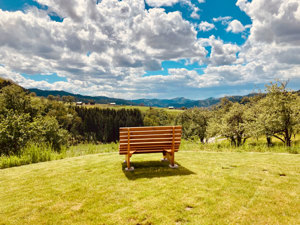 Farm Breigenhof View summer