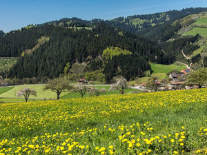 Bauernhof Breigenhof Aussicht Sommer