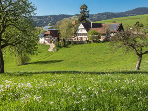 Bauernhof Breigenhof