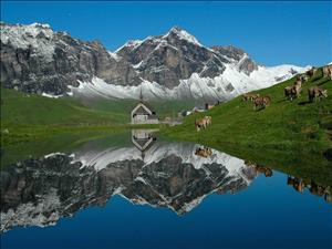 Cabane de montagne Tannalp