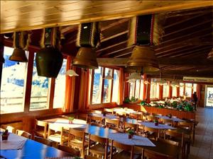 Berghotel Bonistock
