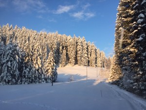 Berghaus Ricketschwändi Lage Winter