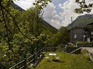 Ferienwohnung Wild Valley Forest View