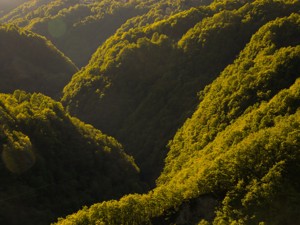 Ferienwohnung Wild Valley Natura Pura