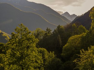 Ferienwohnung Wild Valley Natura Pura