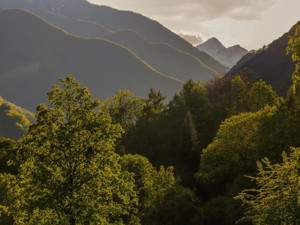 Appartement de vacances Wild Valley Tranquility