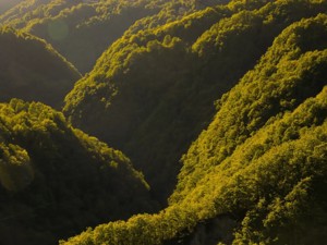 Appartement de vacances Wild Valley Tranquility