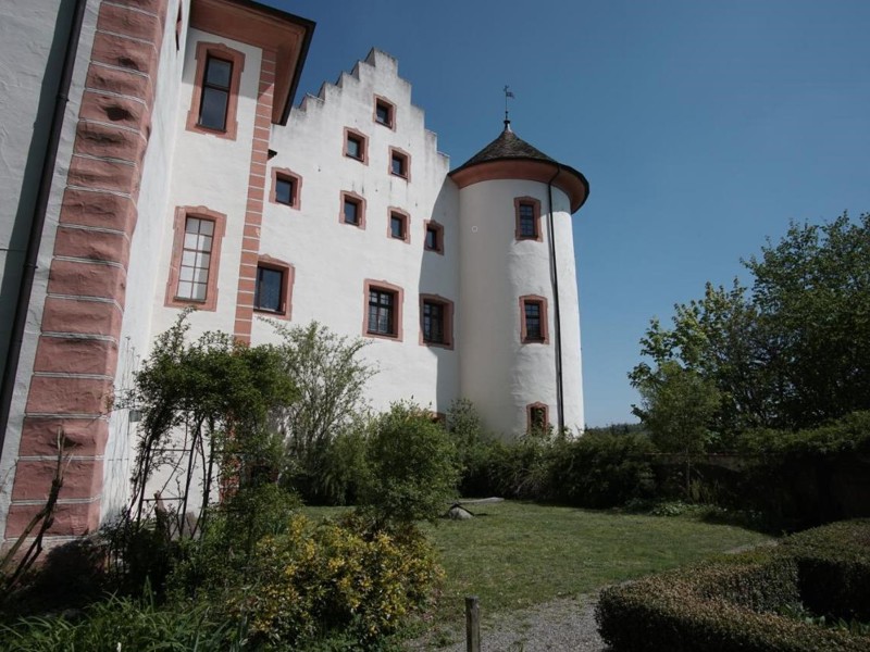 das historische Schloss Hohenfels