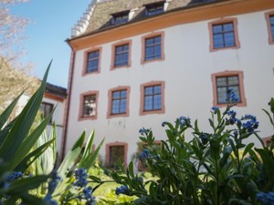 Hôtel et hôtel de congrès Schloss Hohenfels Vue de la maison