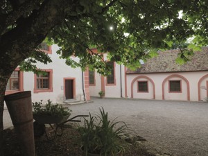 Hotel and conference hotel Schloss Hohenfels Surroundings