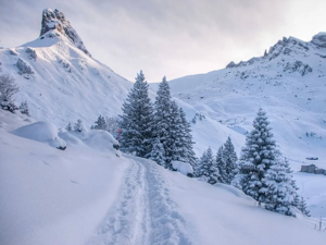 Mountain hut Heimelig Location winter