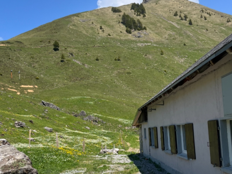 Berghütte Heimelig Hausansicht