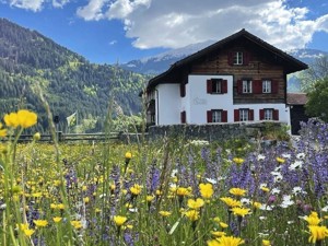 Ferienhaus Cresta Luzein Hausansicht Sommer