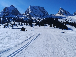Ski-camp Herrenwald Garden winter