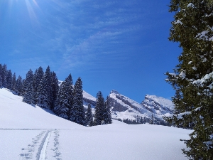 Ski-camp Herrenwald
