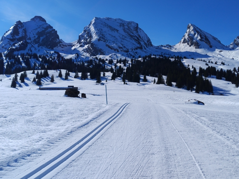 Wintersport direkt vor der Türe.