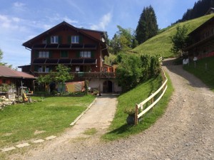 Ferienwohnung Sunnigberg Hausansicht Sommer