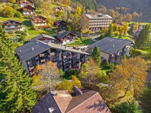 Ferienwohnung Chalet Gruebi Hausansicht Sommer