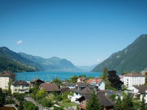 Hôtel City Hotel Brunnen Vue