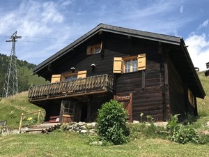 Alphütte Planier Hausansicht Sommer