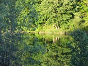 the accommodation's own natural bathing lake