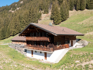 Ferienhaus Naulaz Hausansicht Sommer