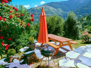 Maison de vacances Le Dahu Jardin