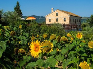 Ferienhaus Piagge del Sole Hausansicht Sommer