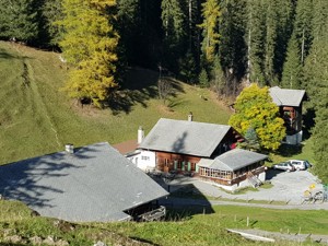 Alp-refuge Iffigenalp House view summer