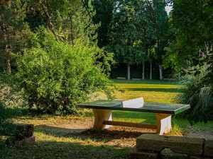 Country house Mas de la Garonne Surroundings