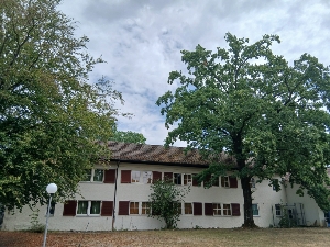 the main house