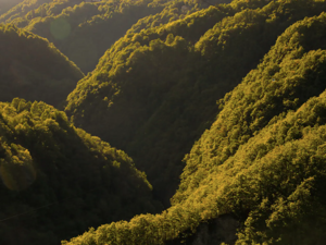 Ferienhaus Wild Valley Waterfall Rustico Lage