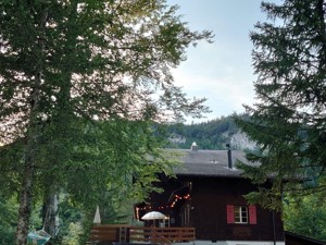 Friends of nature accommodation Brünig House view summer