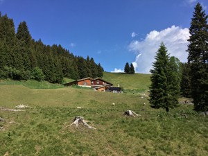 Maison de vacances Edelweisshütte L'espace autour de la maison