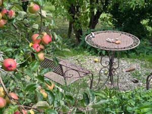 Maison de séminaire Stille Haus Jardin été