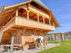Pferde-Ferienhaus Spycher Hausansicht Sommer