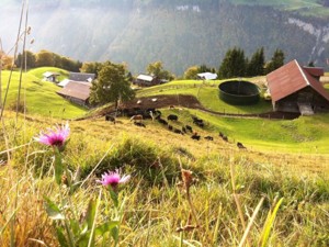 Refuge Weitblick Situation été