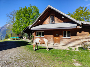 Alp-refuge Weitblick House view