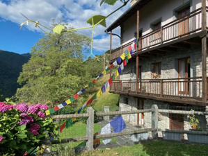 Ferienwohnung Wild Valley Serenity Hausansicht Sommer