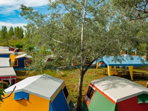 Camping Flamingo Hausansicht Sommer