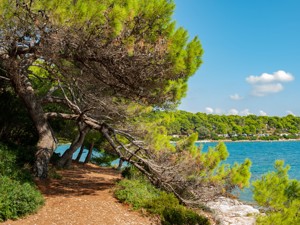 a hiking trail leads around the island