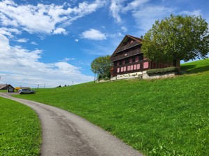 Ferienhaus Mattli Hausansicht Sommer