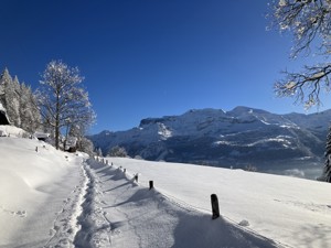 Alp-refuge Planalp Location winter
