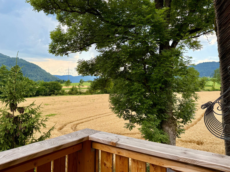 Holiday house Mühle View