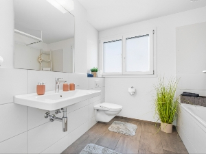 Haus Ferienhausträume Oase Bodensee Badezimmer