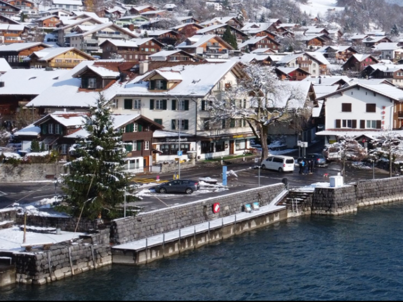 Hotel Brienzerburli winter